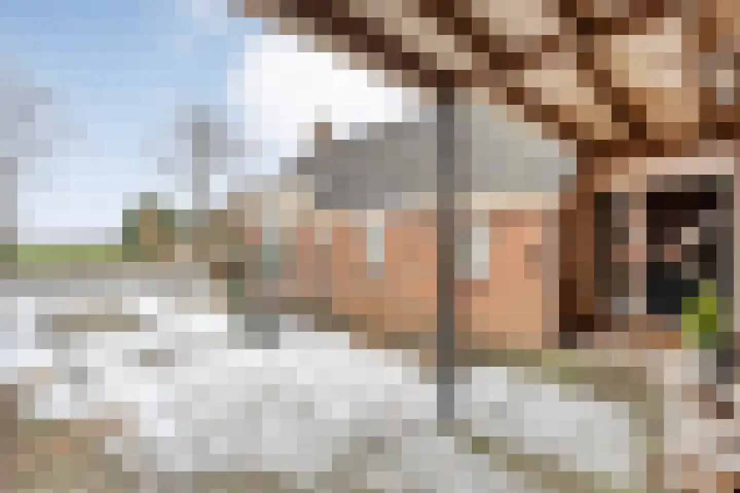 Oosterdiep WZ 191 Emmer-Compascuum thumbnail 8