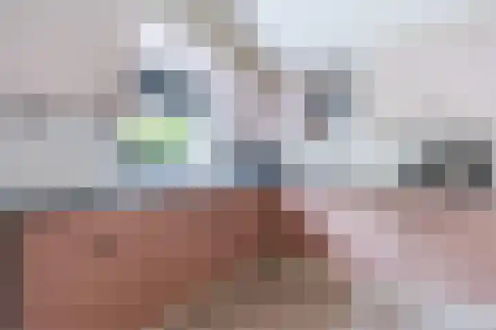Oosterdiep WZ 36 Emmer-Compascuum thumbnail 19