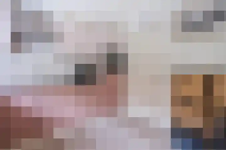 Oosterdiep WZ 36 Emmer-Compascuum thumbnail 20