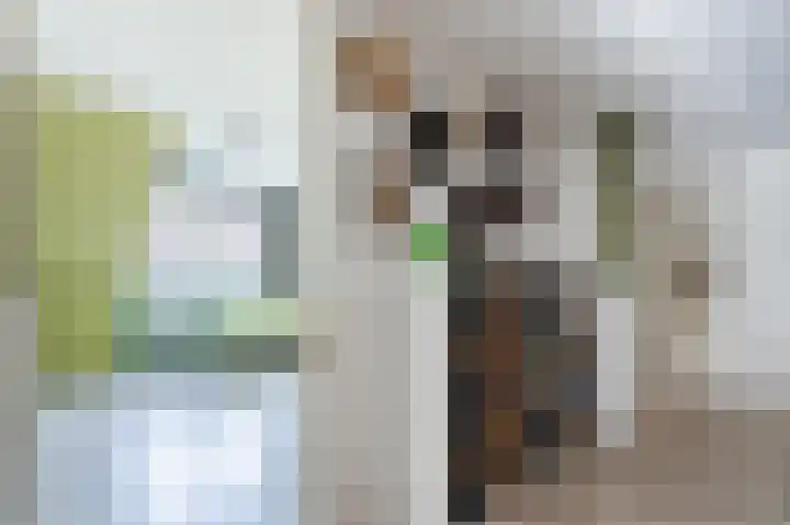 Oosterdiep WZ 36 Emmer-Compascuum thumbnail 33