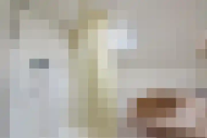 Oosterdiep WZ 36 Emmer-Compascuum thumbnail 35