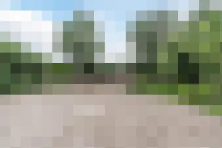 Oosterdiep WZ 36 Emmer-Compascuum thumbnail 42