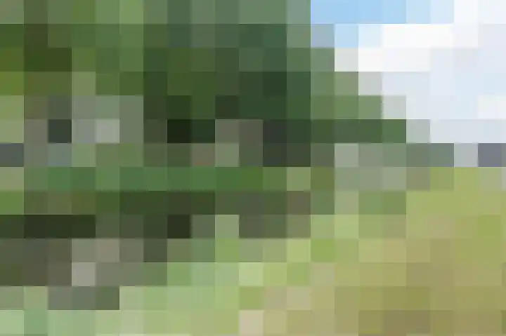 Oosterdiep WZ 36 Emmer-Compascuum thumbnail 43
