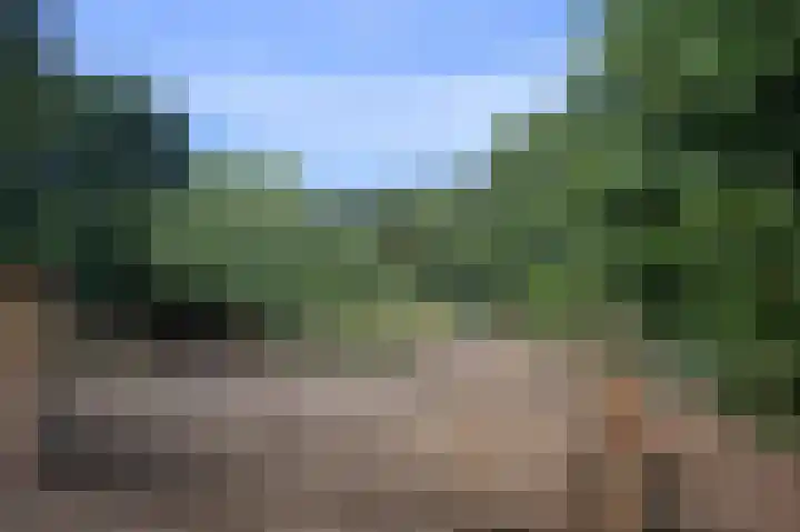 Oosterdiep WZ 36 Emmer-Compascuum thumbnail 46