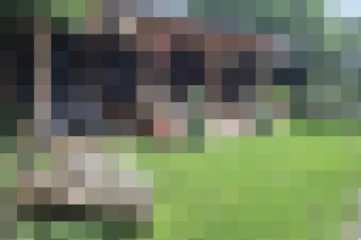 Oosterdiep WZ 36 Emmer-Compascuum thumbnail 47