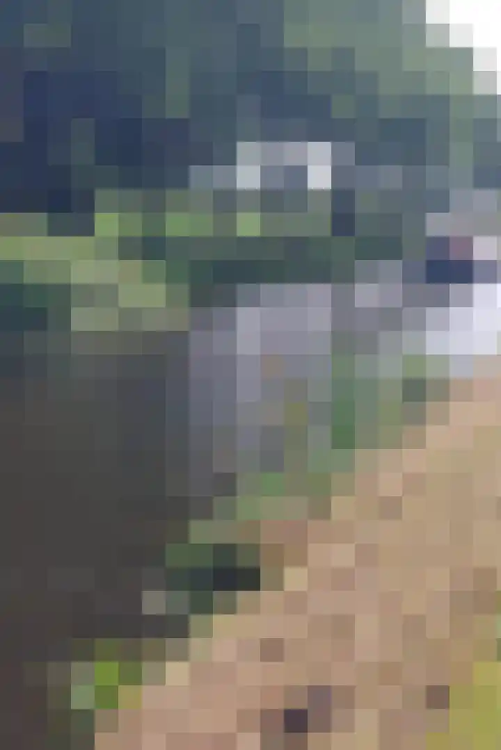 Oosterdiep WZ 36 Emmer-Compascuum thumbnail 49
