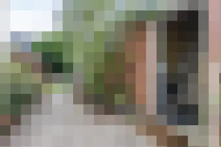 Oosterdiep WZ 36 Emmer-Compascuum thumbnail 5