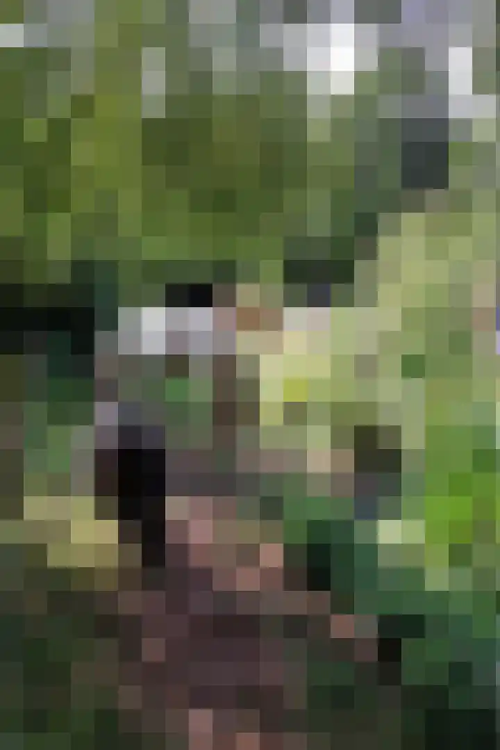 Oosterdiep WZ 36 Emmer-Compascuum thumbnail 50