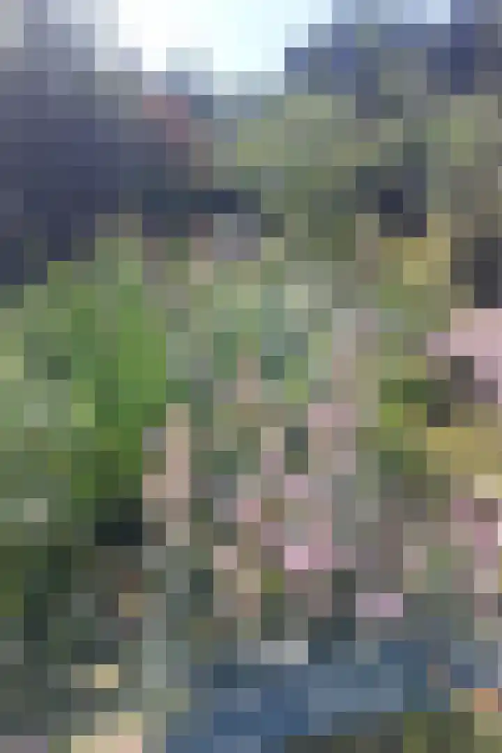 Oosterdiep WZ 36 Emmer-Compascuum thumbnail 51