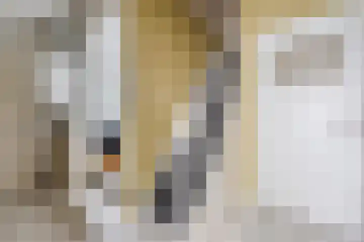 Oosterdiep WZ 36 Emmer-Compascuum thumbnail 6