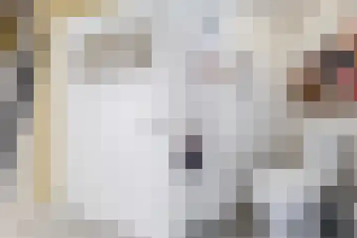 Oosterdiep WZ 36 Emmer-Compascuum thumbnail 7