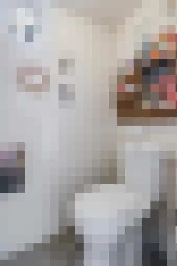 Oosterdiep WZ 36 Emmer-Compascuum thumbnail 9