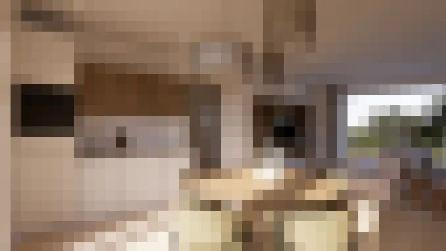 Oosterdiep WZ 4 Emmer-Compascuum thumbnail 10