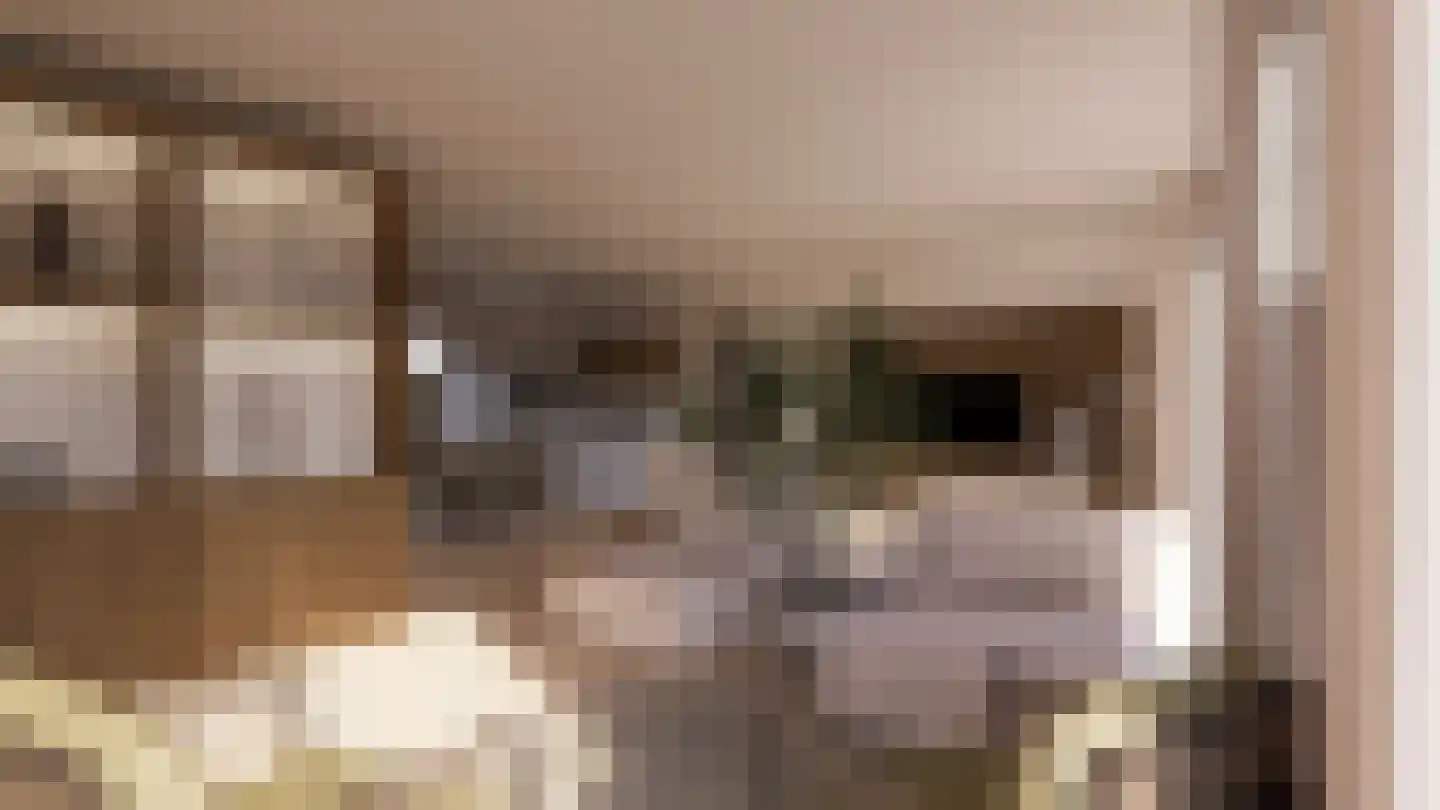 Oosterdiep WZ 4 Emmer-Compascuum thumbnail 4