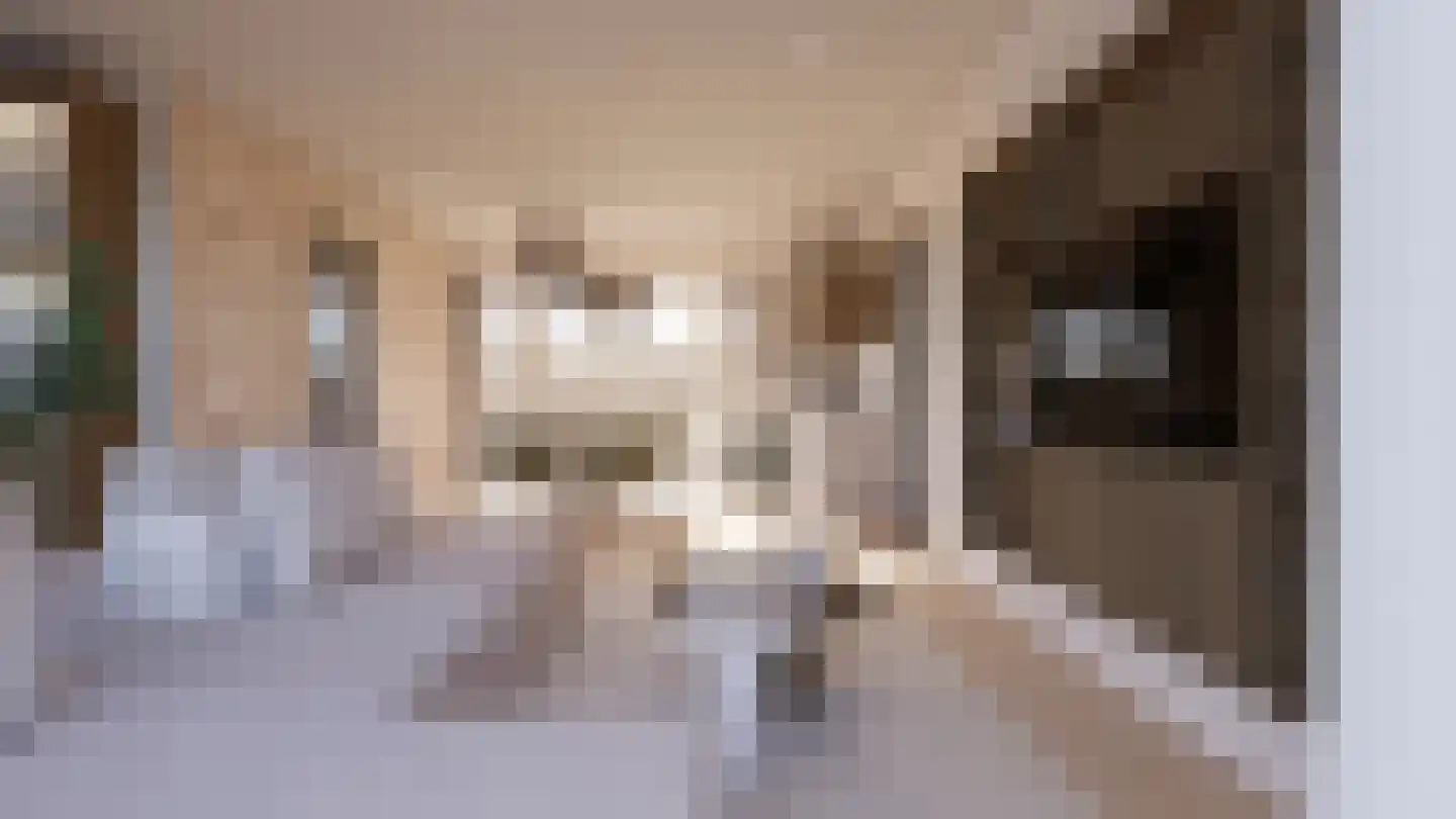 Oosterdiep WZ 4 Emmer-Compascuum thumbnail 6