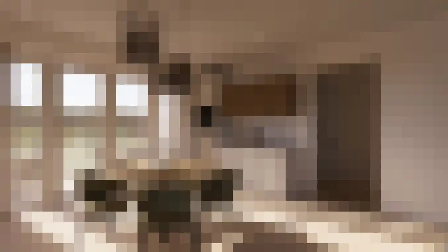 Oosterdiep WZ 4 Emmer-Compascuum thumbnail 9