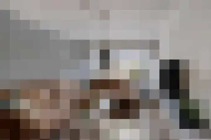 Oosterdiepswal 7 Kollum thumbnail 11