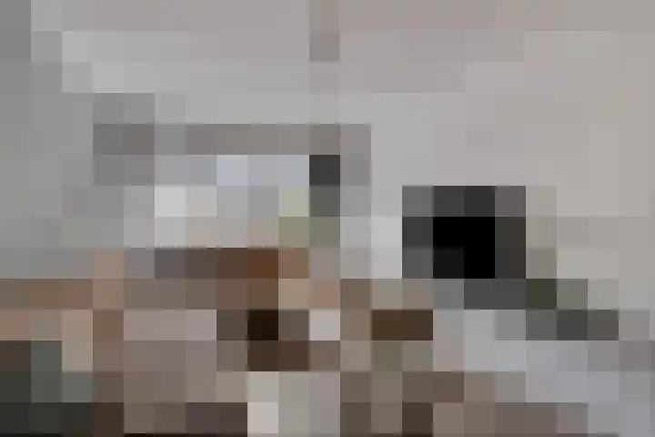 Oosterdiepswal 7 Kollum thumbnail 16