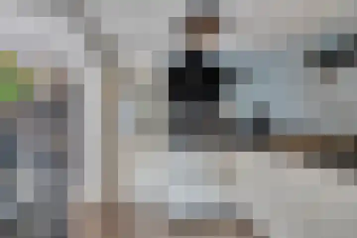 Oosterdiepswal 7 Kollum thumbnail 24