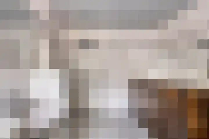 Oosterdiepswal 7 Kollum thumbnail 35