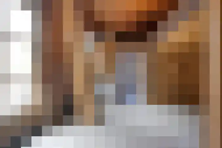 Oosterdiepswal 7 Kollum thumbnail 44