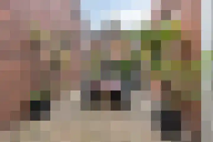 Oosterdiepswal 7 Kollum thumbnail 48