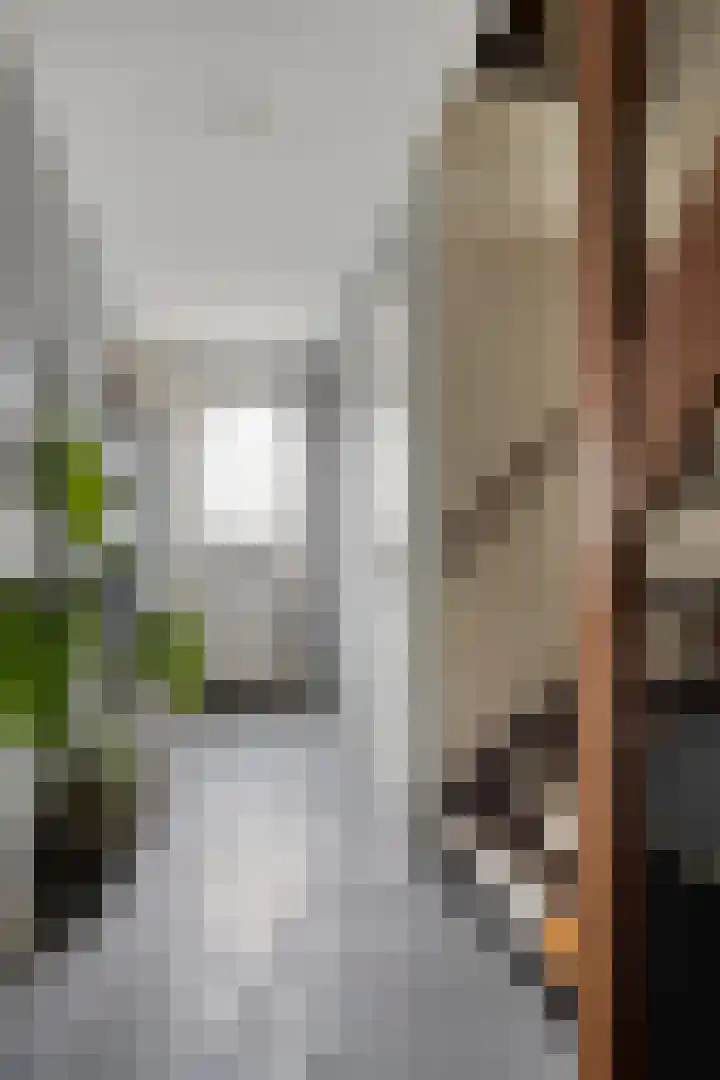 Oosterdiepswal 7 Kollum thumbnail 8
