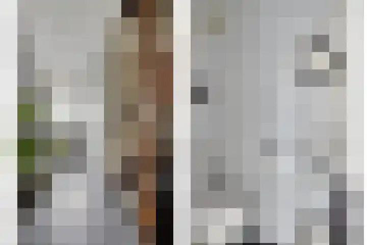 Oosterdiepswal 7 Kollum thumbnail 9
