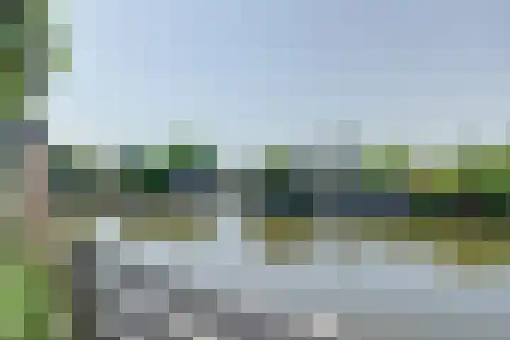 Oosterdijk 1 Sint Pancras thumbnail 76