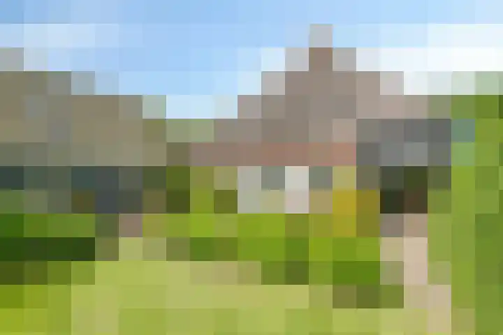 Oosterdijk 15 Dirkshorn thumbnail 54