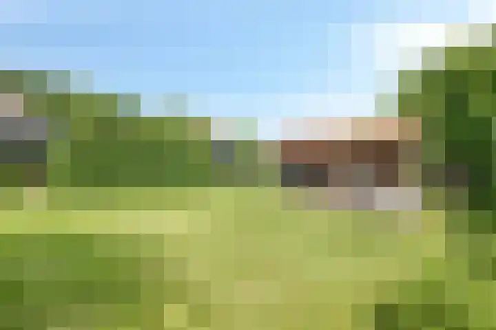 Oosterdijk 15 Dirkshorn thumbnail 57