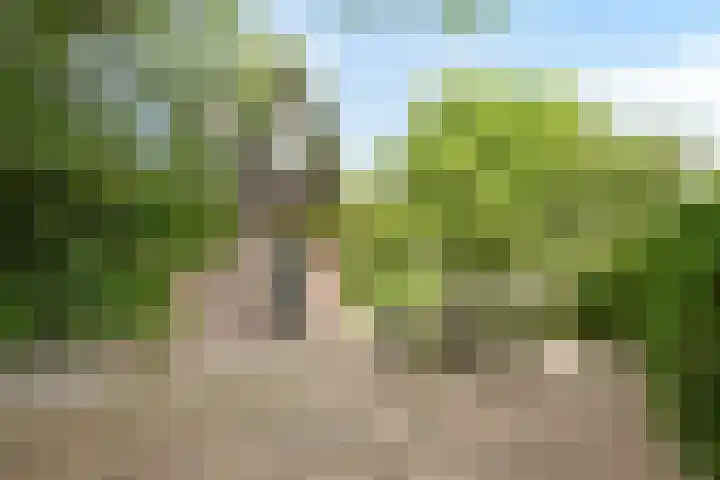 Oosterdijk 15 Dirkshorn thumbnail 60