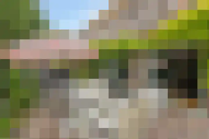 Oosterdijk 15 Dirkshorn thumbnail 66