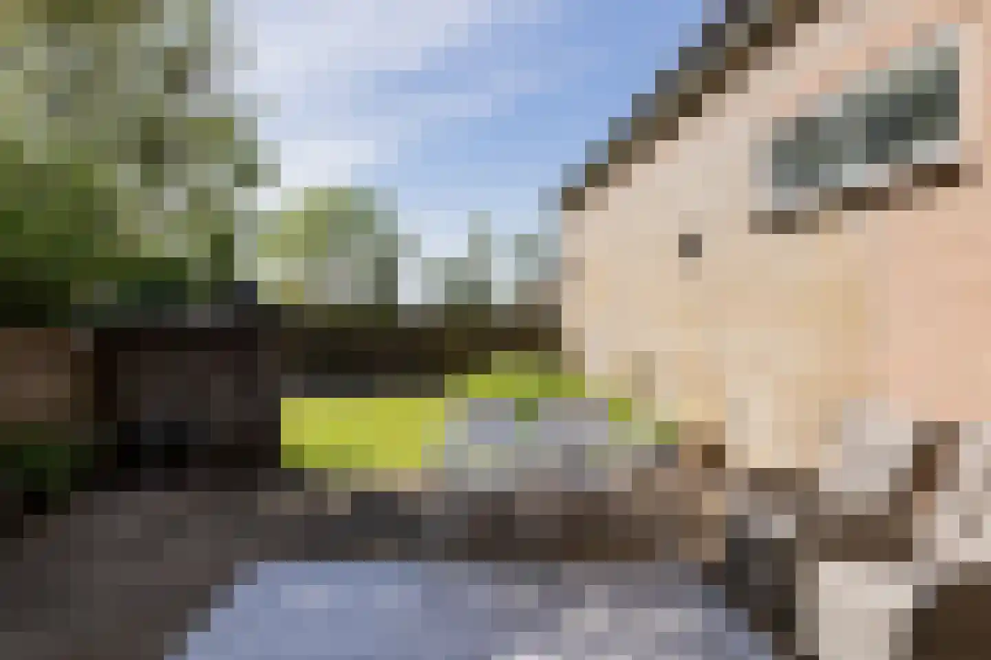 Oosterdijk 42 Dirkshorn thumbnail 16