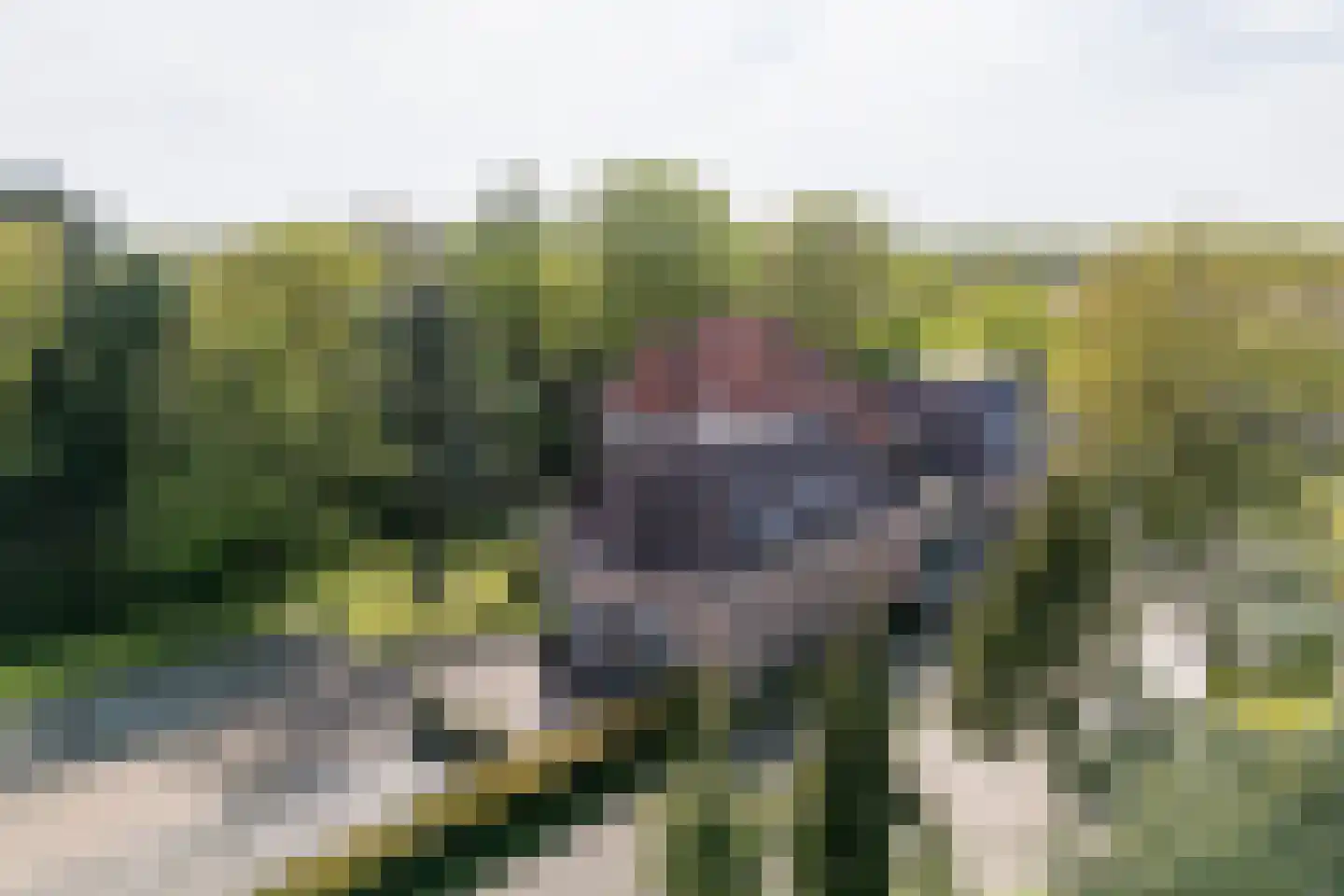 Oosterdijk 42 Dirkshorn thumbnail 29