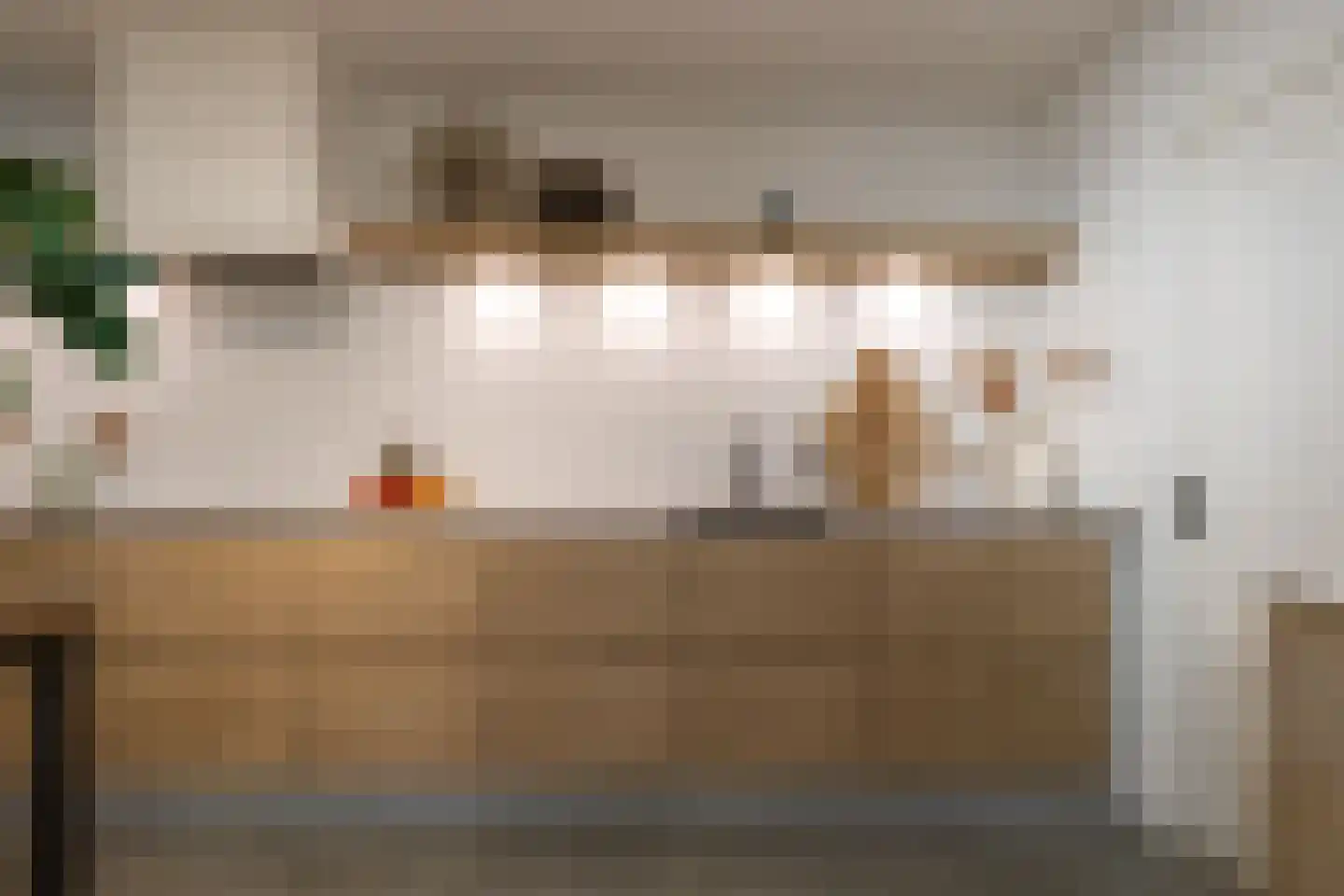 Oosterdijk 42 Dirkshorn thumbnail 8