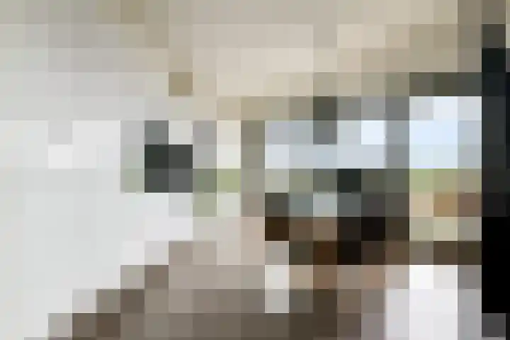Oosterdokskade 31 Amsterdam thumbnail 8