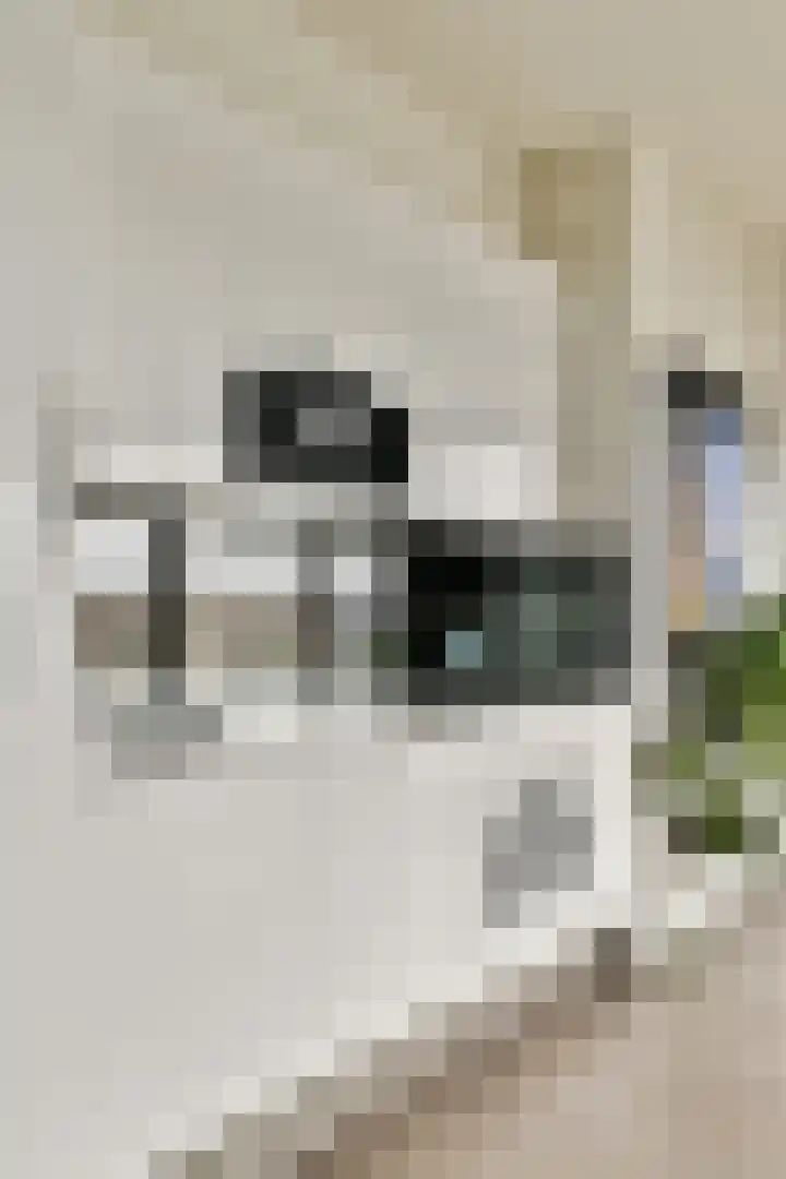 Oosterdokskade 31 Amsterdam thumbnail 9