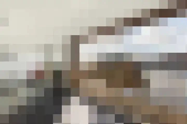 Oosterdokskade 7 Amsterdam thumbnail 13