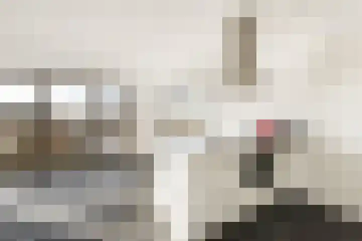 Oosterdokskade 7 Amsterdam thumbnail 8