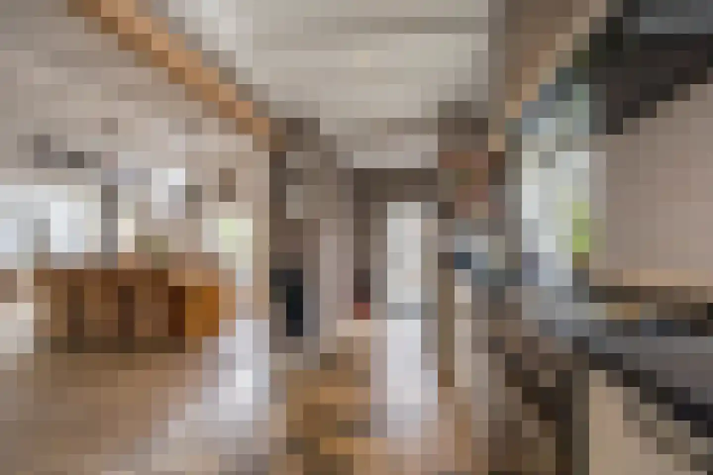Oosterdorpsstraat 108 Hoevelaken thumbnail 14