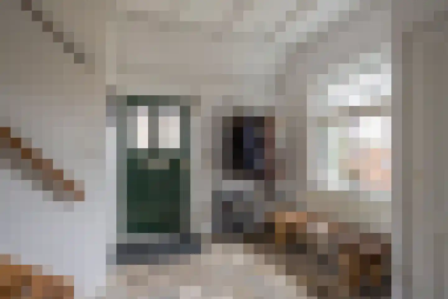 Oosterdorpsstraat 108 Hoevelaken thumbnail 19