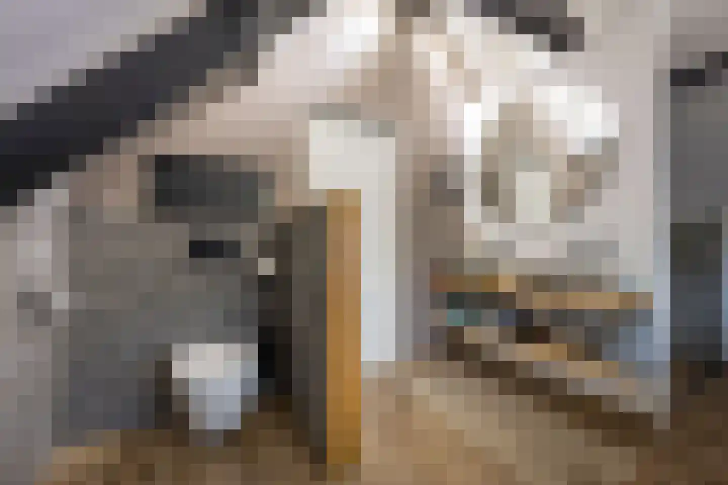 Oosterdorpsstraat 108 Hoevelaken thumbnail 27