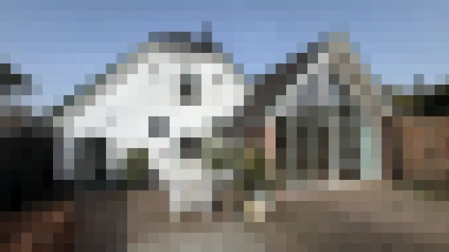 Oosterdorpsstraat 108 Hoevelaken thumbnail 30