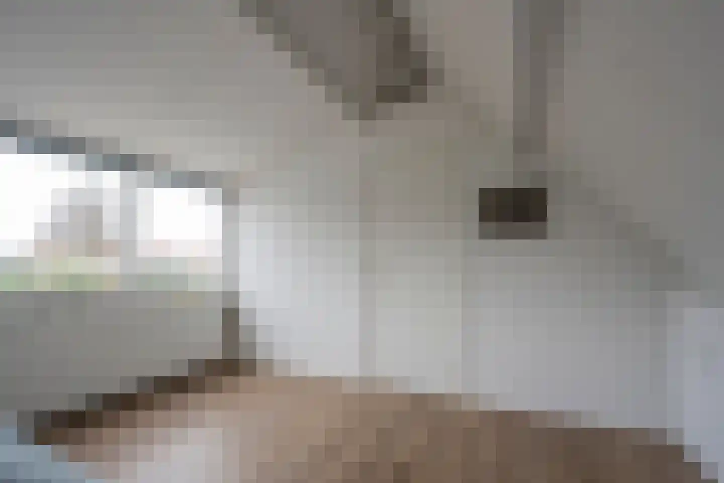Oosterdorpsstraat 108 Hoevelaken thumbnail 43