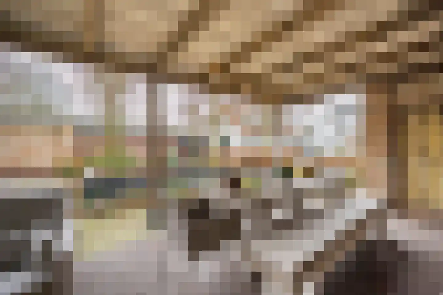 Oosterdorpsstraat 108 Hoevelaken thumbnail 49