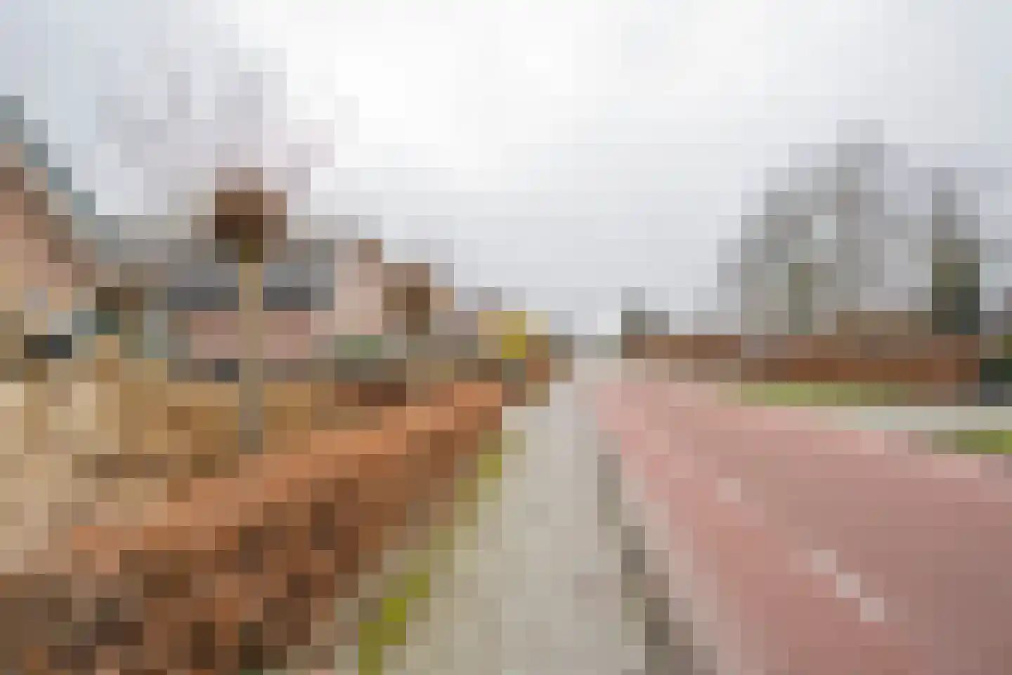Oosterdorpsstraat 108 Hoevelaken thumbnail 62