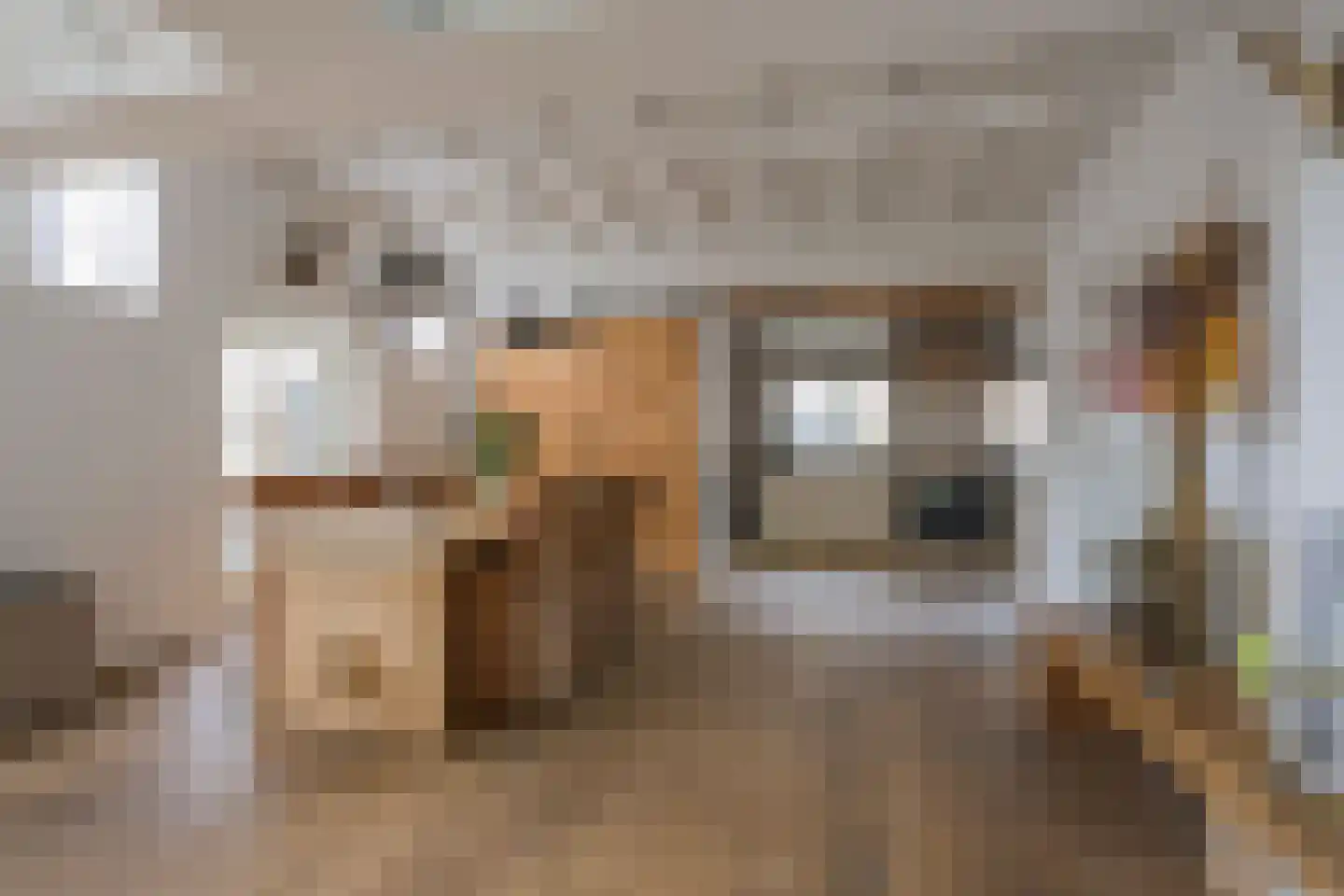 Oosterdorpsstraat 108 Hoevelaken thumbnail 7