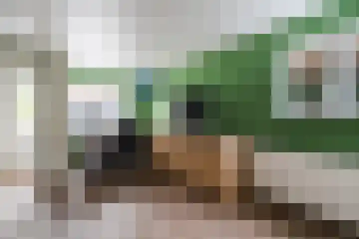 Oosterdorpsstraat 115 Hoevelaken thumbnail 25