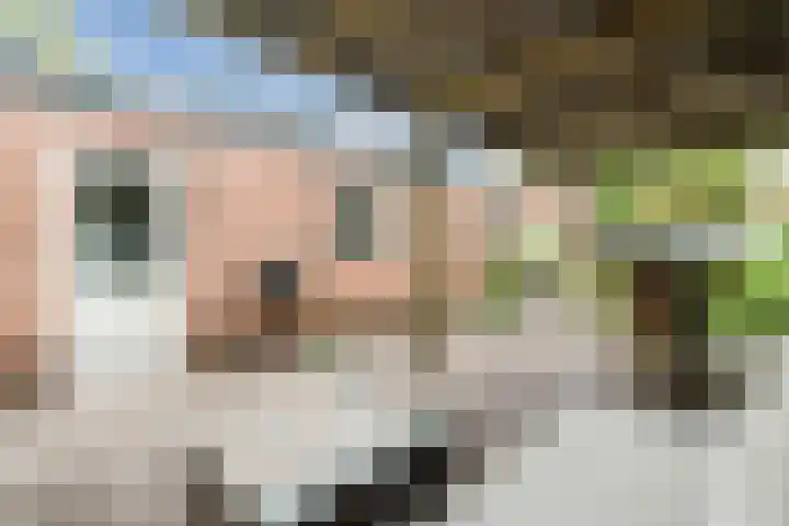 Oosterdorpsstraat 115 Hoevelaken thumbnail 28